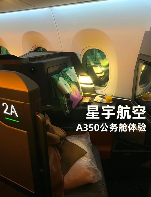 星宇商務艙有什麼