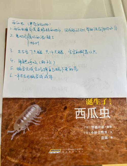 鼠婦多久會生:從交配到孵化,最完整的鼠婦繁殖週期解析 6 鼠婦多久會生