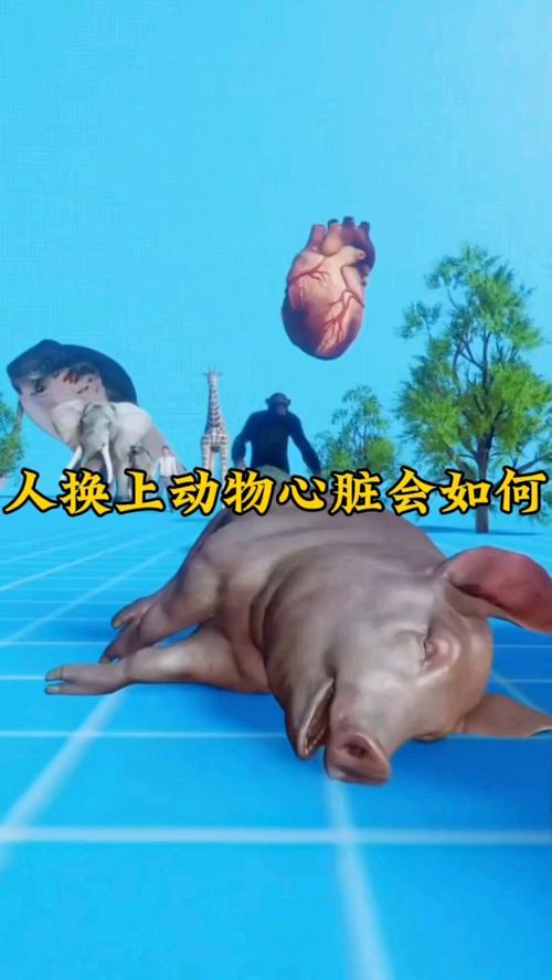 什麼動物有三顆心臟