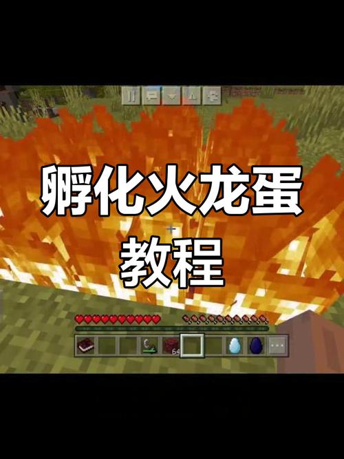 minecraft龍蛋有什麼用