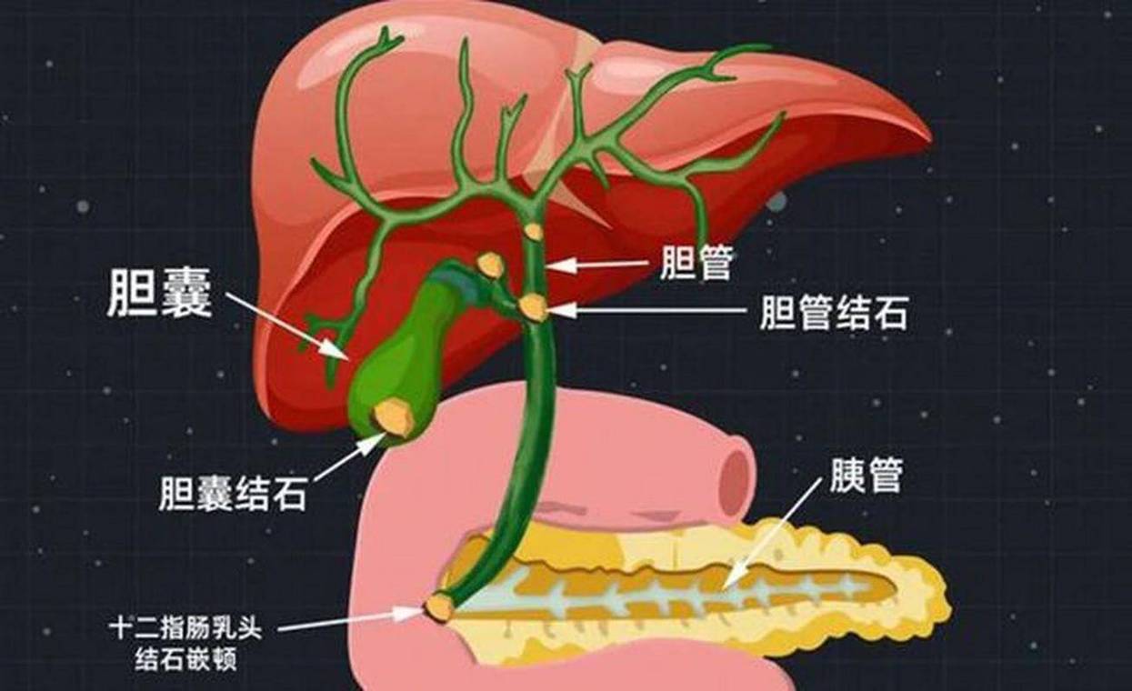 如何知道膽汁分泌不足