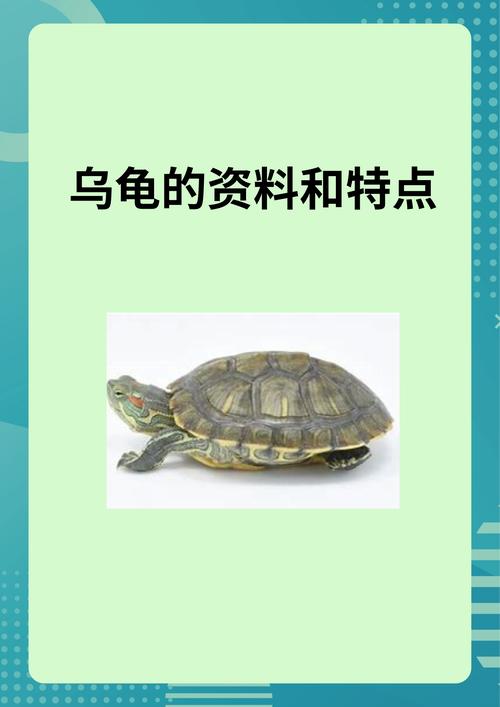 烏龜為什麼走很慢