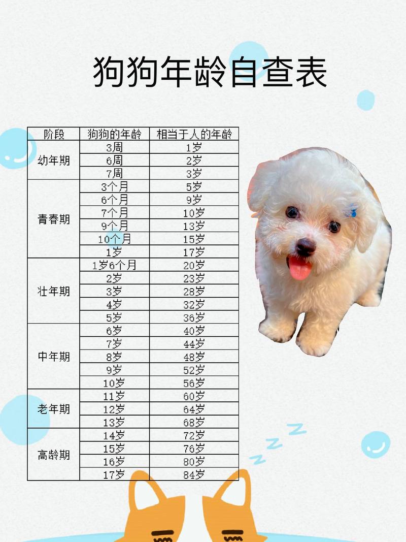 狗狗15歲是人的幾歲