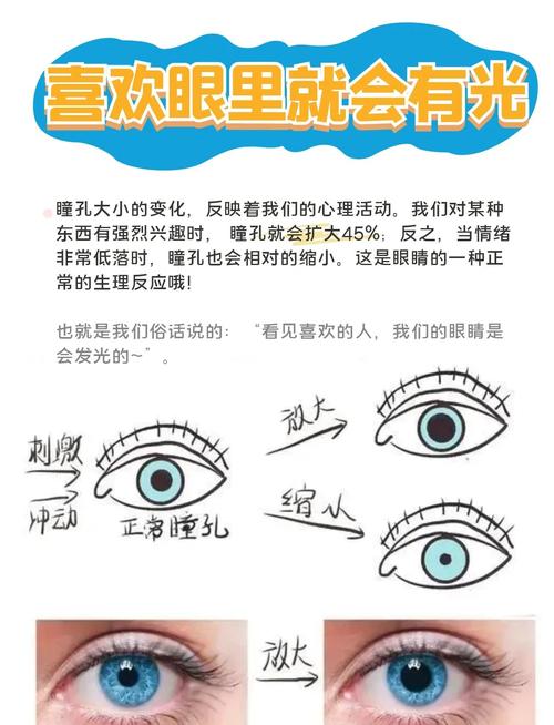 瞳孔放大怎麼辦:深度解析原因、影響與應對策略 3 瞳孔放大怎麼辦