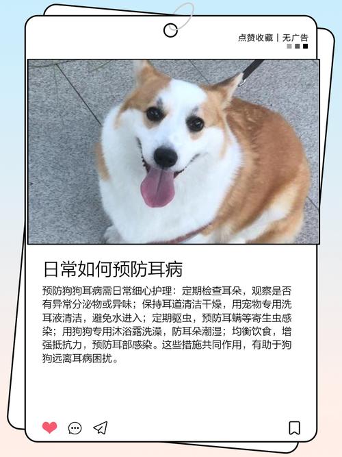 為什麼狗狗會一直抓耳朵