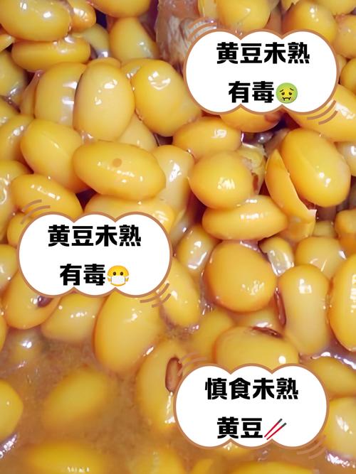 黃豆吃太多會怎樣