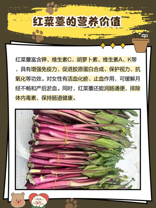 紅菜一斤多少錢