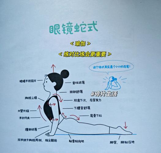 如何練水蛇腰:從零開始打造迷人S曲線的完整攻略 1 如何練水蛇腰