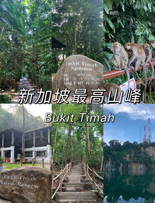 新山在新加坡嗎