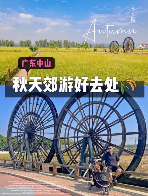 左鎮怎麼玩:探索台南左鎮的古老與秘境之旅 1 左鎮怎麼玩