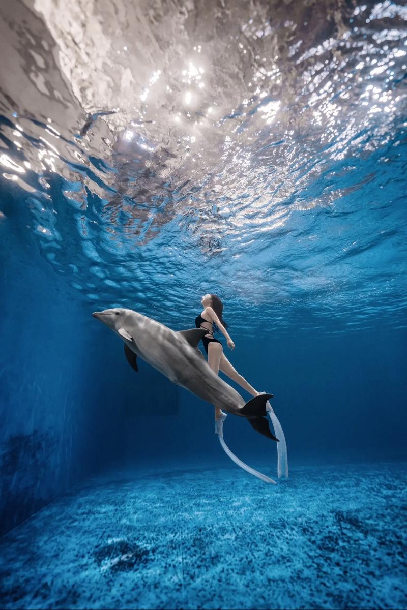 水下什麼顏色最明顯