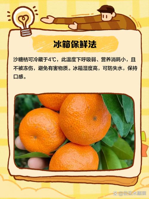 砂糖橘要放冰箱嗎:保存秘訣與鮮甜風味的維護 1 砂糖橘要放冰箱嗎