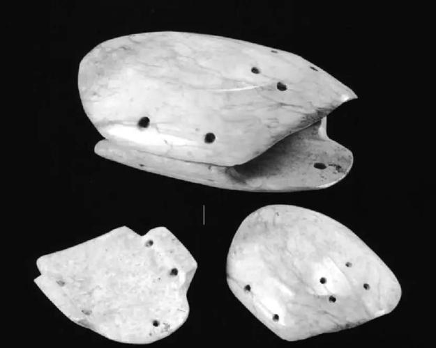 挖到遺址如何處理:從發現到保護的完整指南 1 挖到遺址如何處理