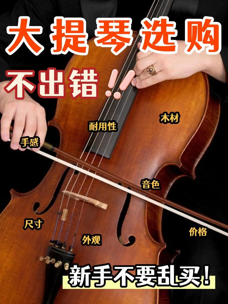 如何選大提琴:新手入門到演奏級的終極指南,避開地雷、找到你的完美琴! 1 如何選大提琴