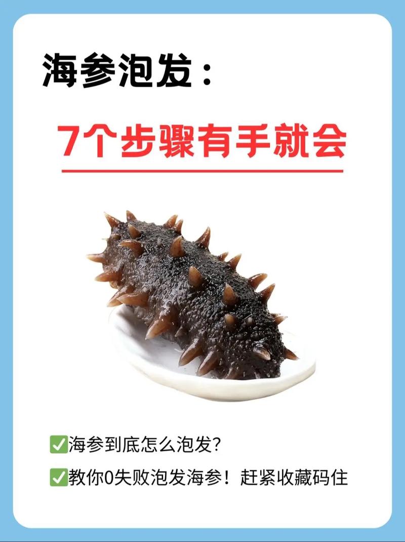 海參如何泡發:從選購到完美烹煮的詳細指南 3 海參如何泡發