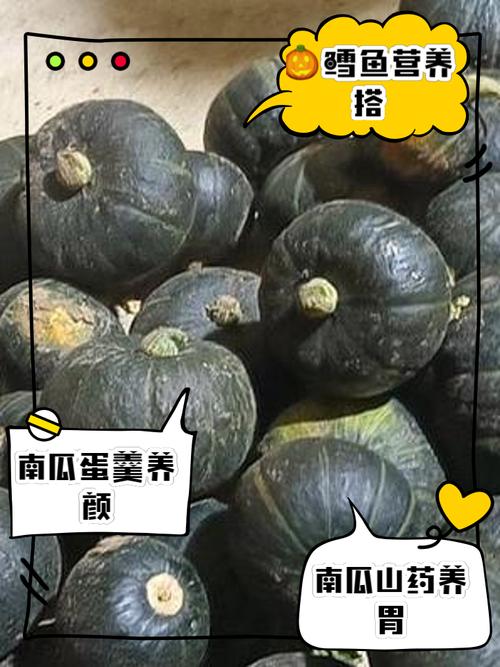 南瓜和什麼最搭