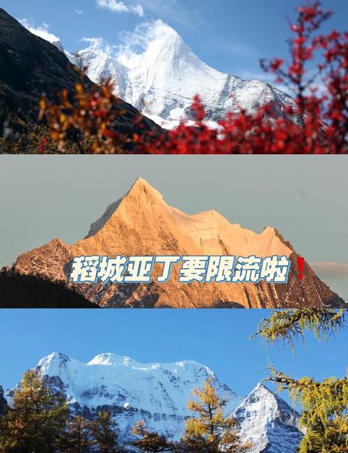 牛奶海怎麼去?龜山島牛奶海交通全攻略與賞鯨秘訣 1 牛奶海怎麼去
