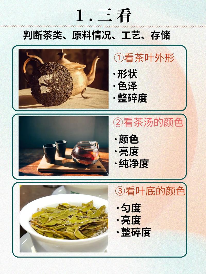 如何分辨好茶葉