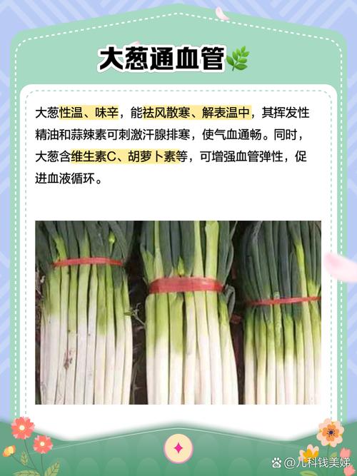 什麼食物活血化瘀