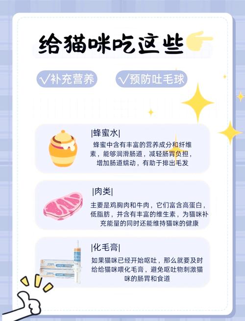 貓咪吐毛球怎麼辦