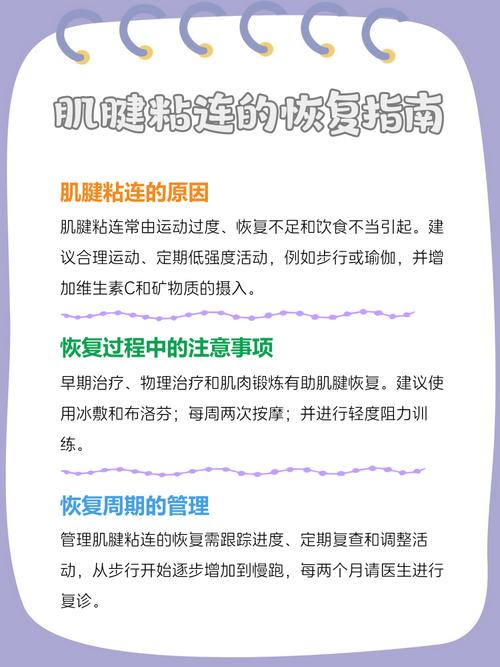 如何改善筋膜沾黏:從自我照護到專業治療的全面指南 1 如何改善筋膜沾黏