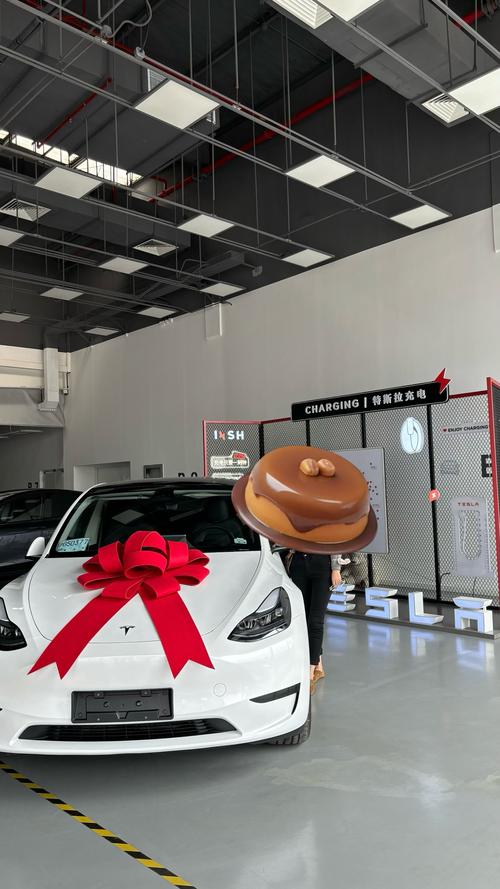 特斯拉交車要帶什麼