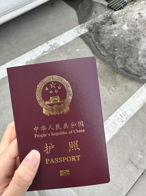 辦護照要帶什麼