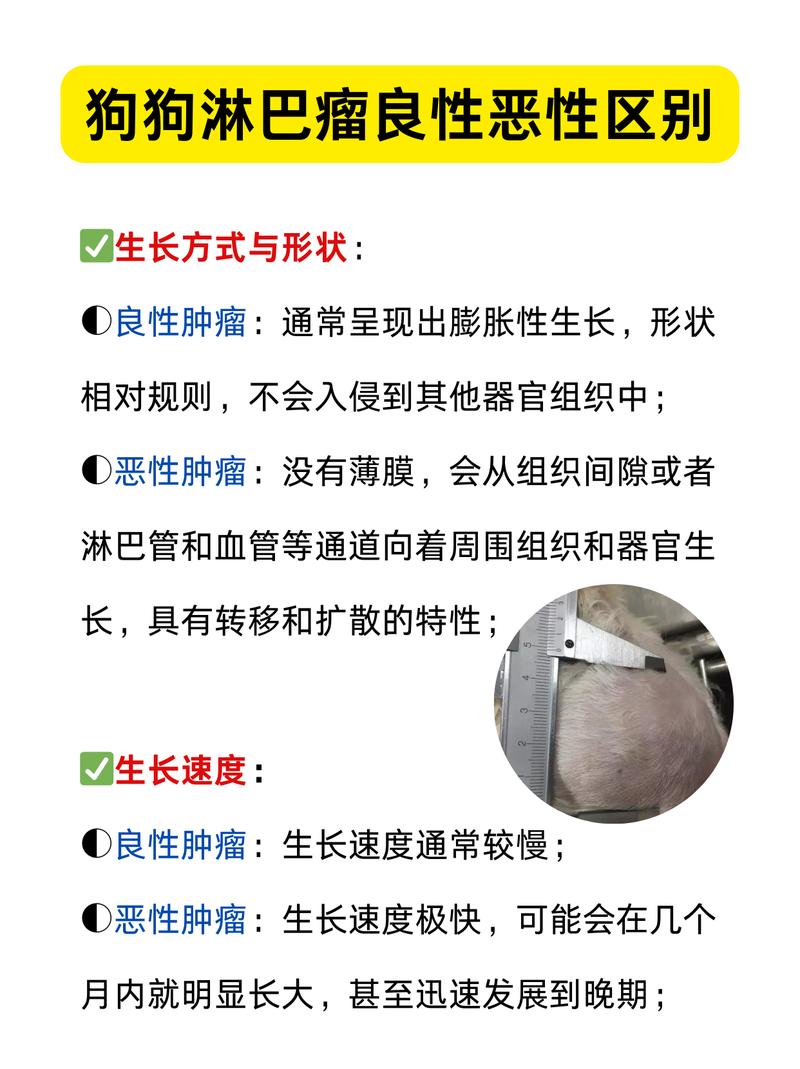 怎麼知道自己長腫瘤