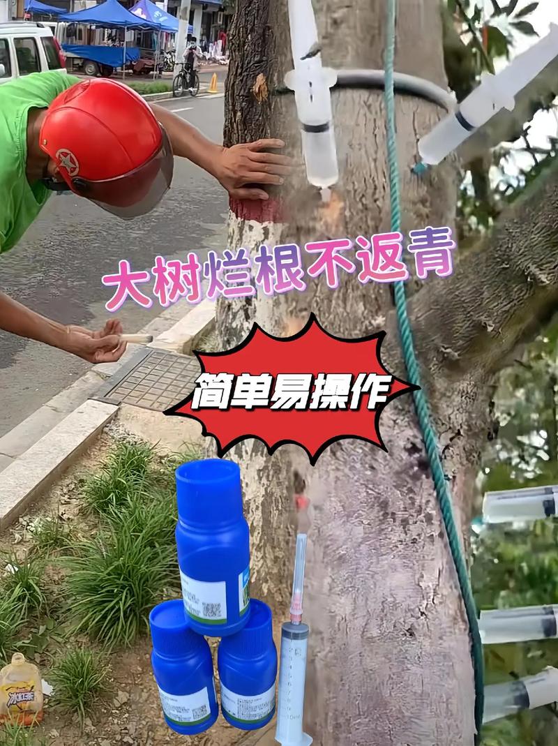 如何讓樹死掉