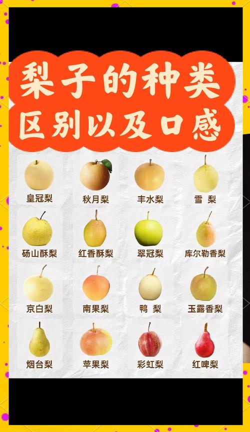 梨子一年四季都有嗎:揭秘台灣梨子的產季與選購之道 1 梨子一年四季都有嗎