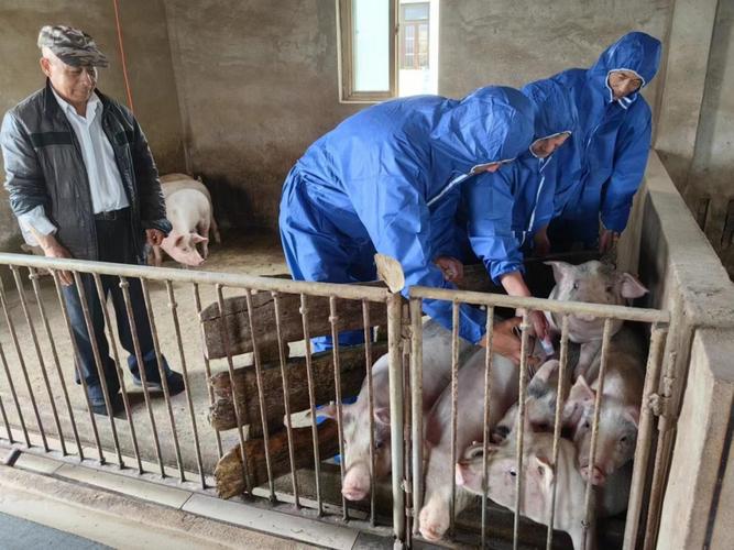 獸醫歸誰管?深入解析台灣獸醫執業與管理機關的權責 1 獸醫歸誰管