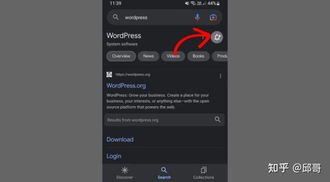 Google discover是什麼