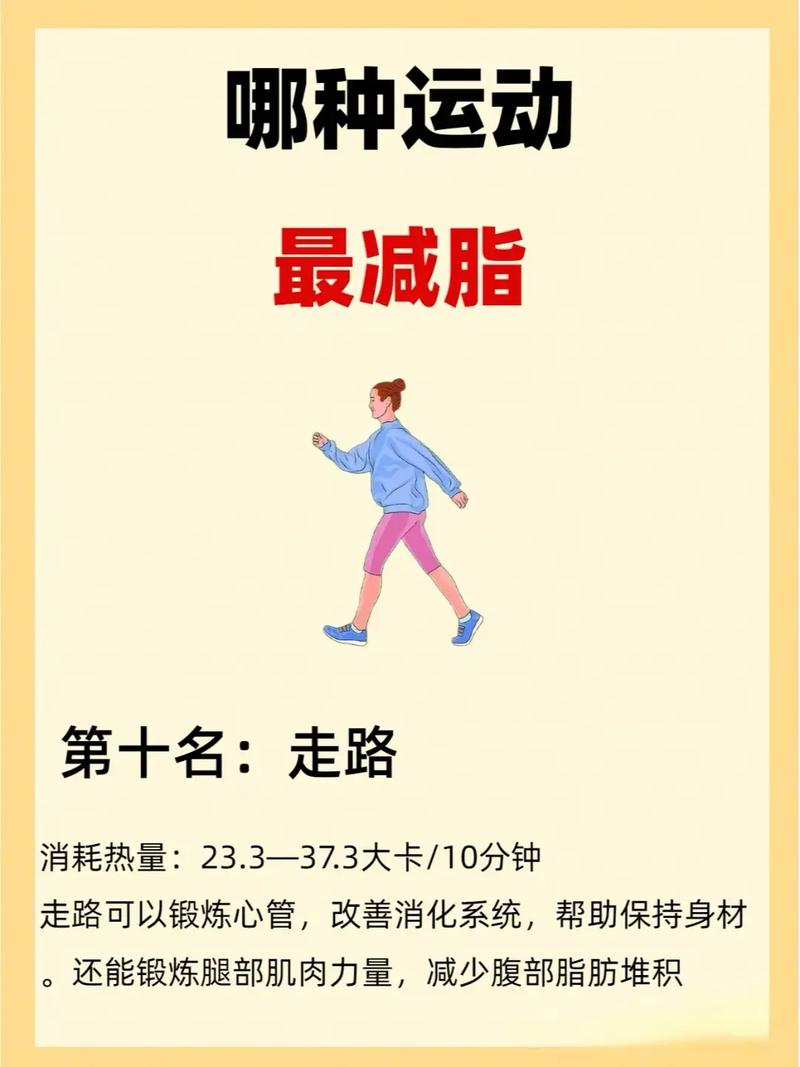 怎麼運動減脂:科學有效規劃、燃燒脂肪的關鍵策略與常見迷思破解 3 怎麼運動減脂