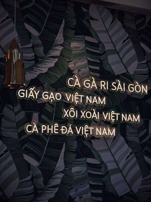 越南都用什麼聊天軟體