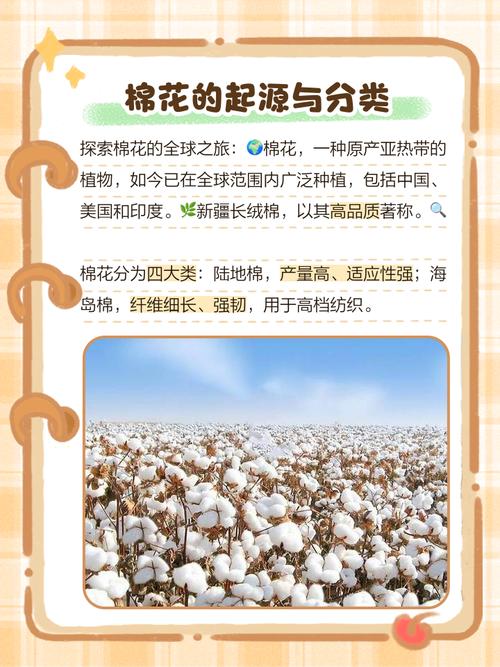 棉花在什麼氣候