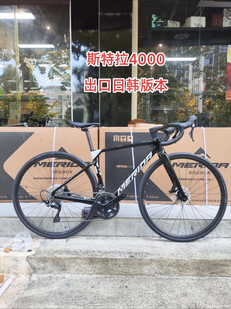 台灣特斯拉level幾