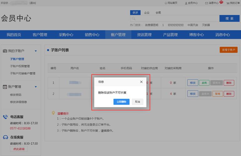 子帳戶是什麼