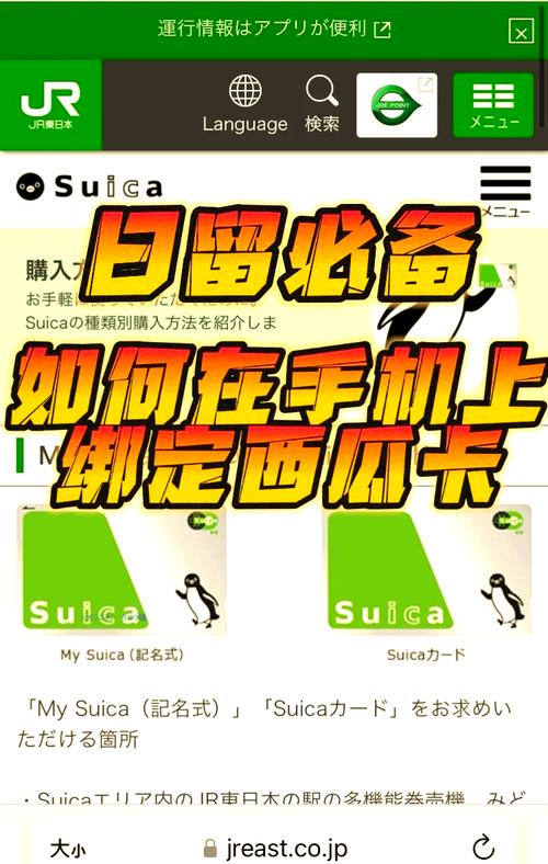 iPhone西瓜卡會過期嗎 | 完整解析西瓜卡在iPhone上的有效期限與使用須知 1 iPhone西瓜卡會過期嗎