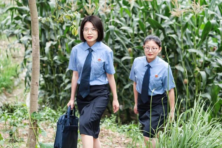 檢察官配槍:權力、職責與安全考量深度解析 1 檢察官配槍