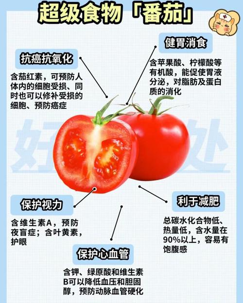 一天可以吃幾顆蕃茄:探索蕃茄的每日攝取量與健康益處 3 一天可以吃幾顆蕃茄