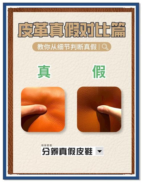 真皮遇水會濕嗎:深入解析真皮與水的關係、影響及應對之道 3 真皮遇水會濕嗎