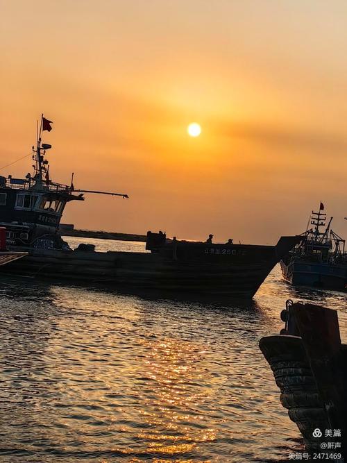 朝陽漁港在哪裡