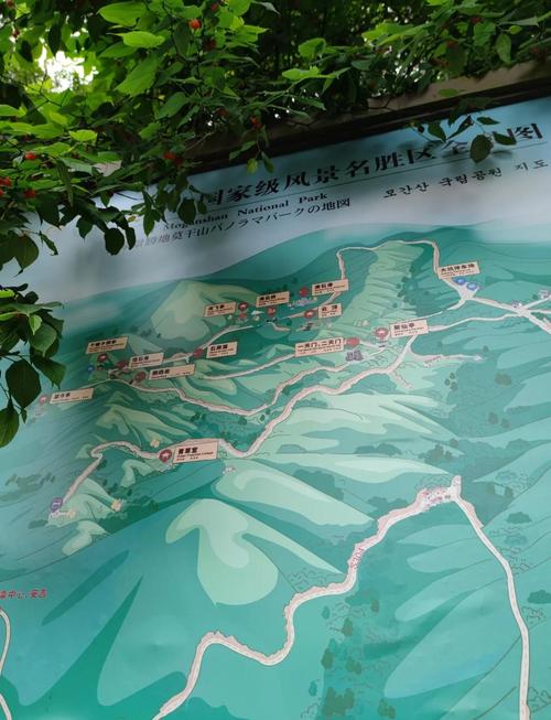 大坑哪個步道最好走