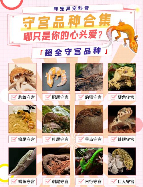 守宮濕度要多少