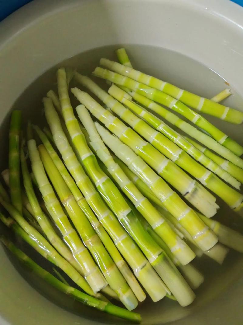 竹筍如何處理:從採收到餐桌的完整指南,美味不苦澀! 3 竹筍如何處理