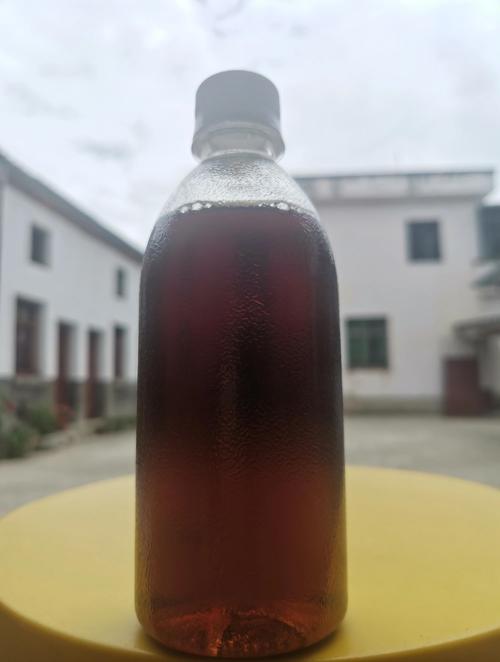 紅茶菌可以吃嗎