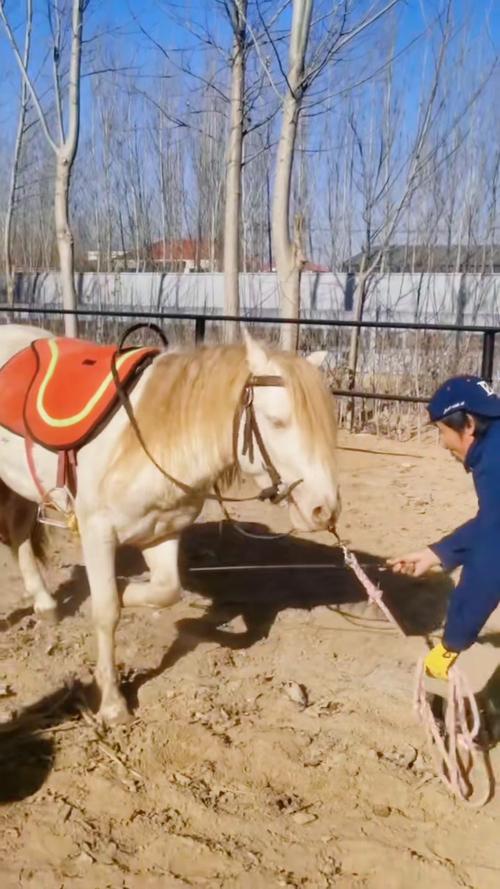 溜馬是什麼:深入解析印第安納溜馬隊的歷史、現況與文化 1 溜馬是什麼