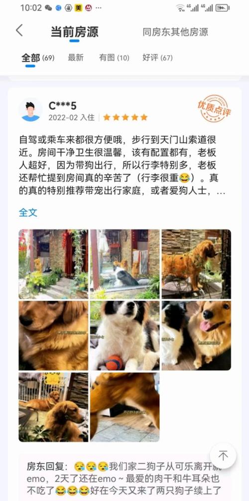 屋頂上可以帶寵物嗎:探索寵物在頂樓空間的潛力與限制 1 屋頂上可以帶寵物嗎