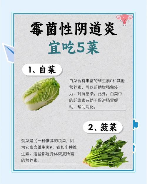 黴菌可以存活多久:深度解析黴菌的生命力與存活條件 1 黴菌可以存活多久