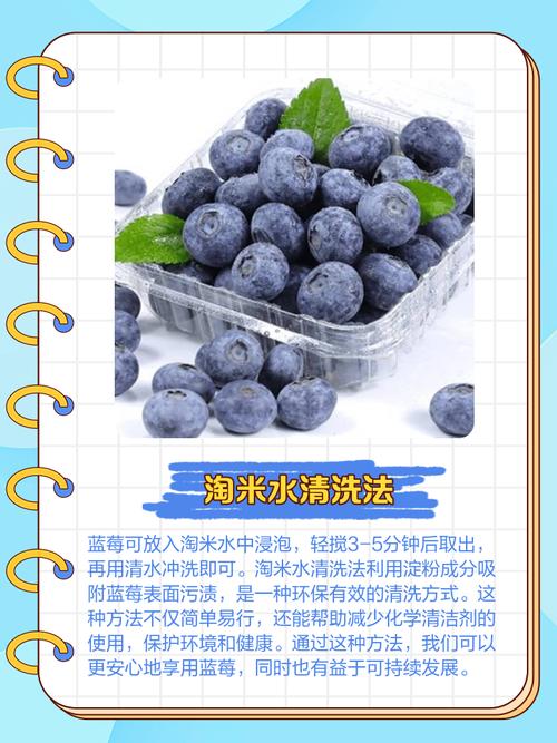 藍莓買回來要洗嗎